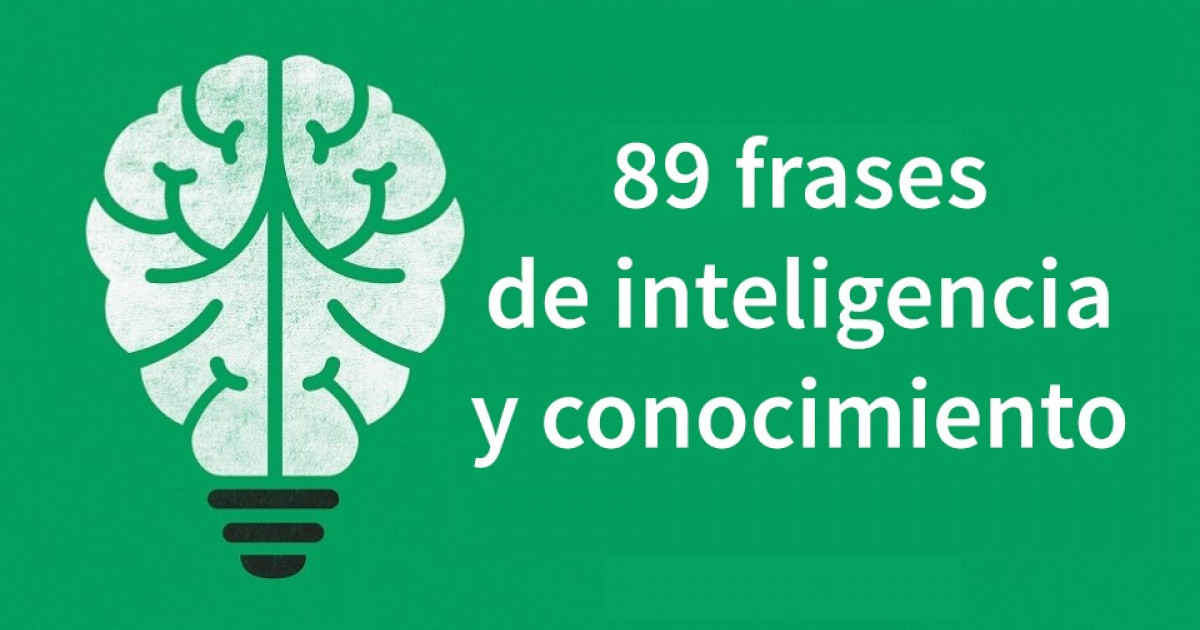 89 Frases Sobre La Inteligencia Y El Conocimiento